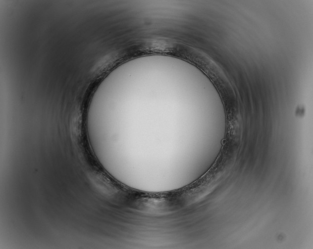 X0000102470552200808221645