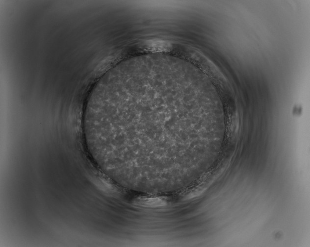 X0000102470553200808221645