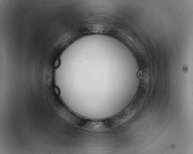 X0000102470554200808221645