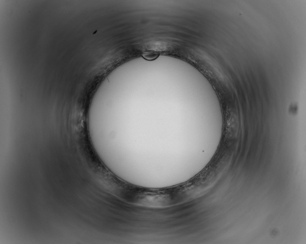 X0000102470555200808221645
