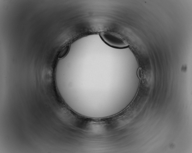 X0000102470556200808221645
