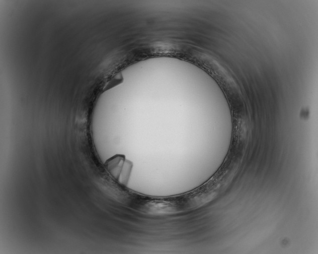 X0000102470557200808221645