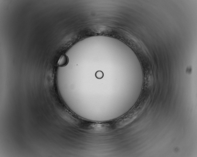 X0000102470558200808221645