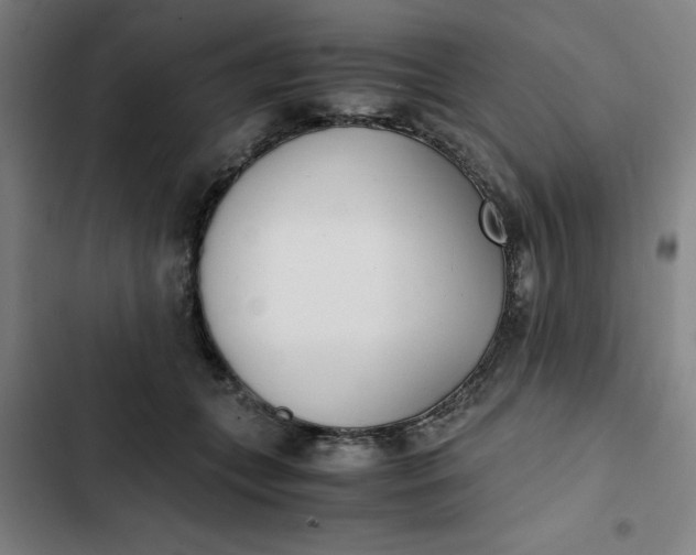 X0000102470559200808221645