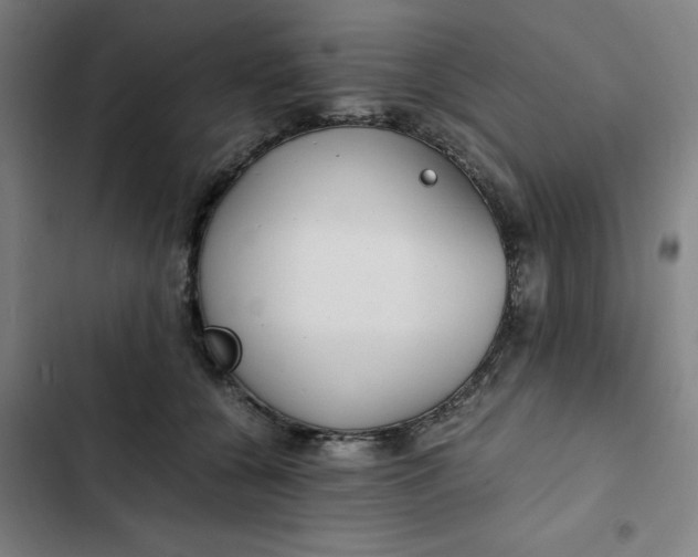 X0000102470560200808221645