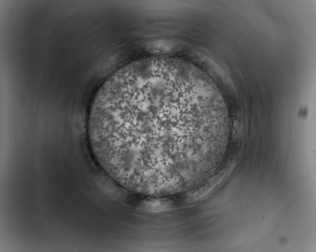 X0000102470561200808221645