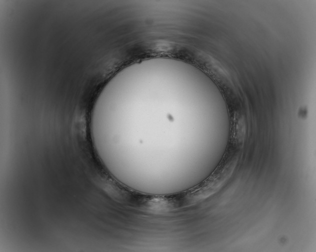 X0000102470562200808221645