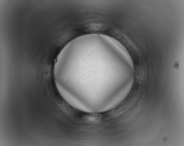 X0000102470563200808221645