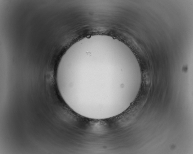X0000102470564200808221645