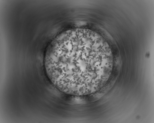 X0000102470565200808221645