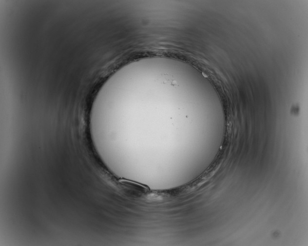 X0000102470566200808221646