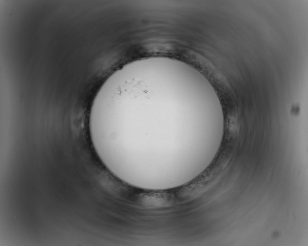 X0000102470567200808221646