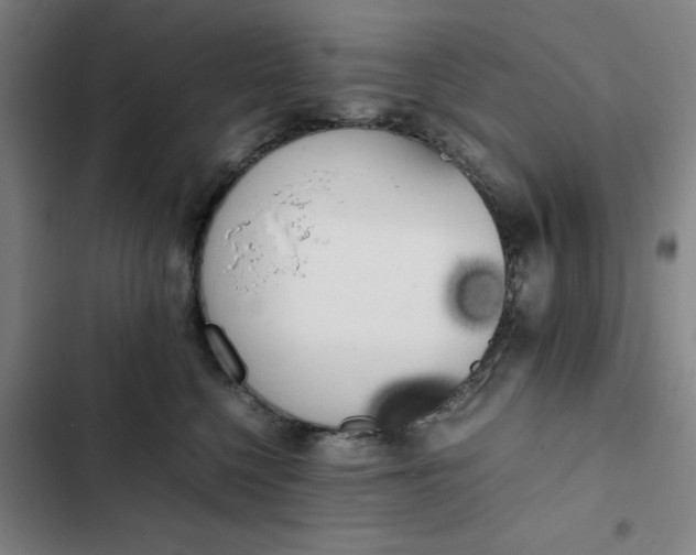 X0000102470568200808221646