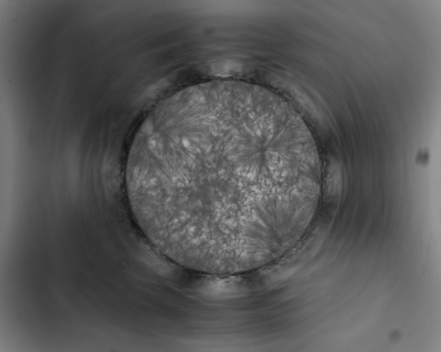 X0000102470569200808221646