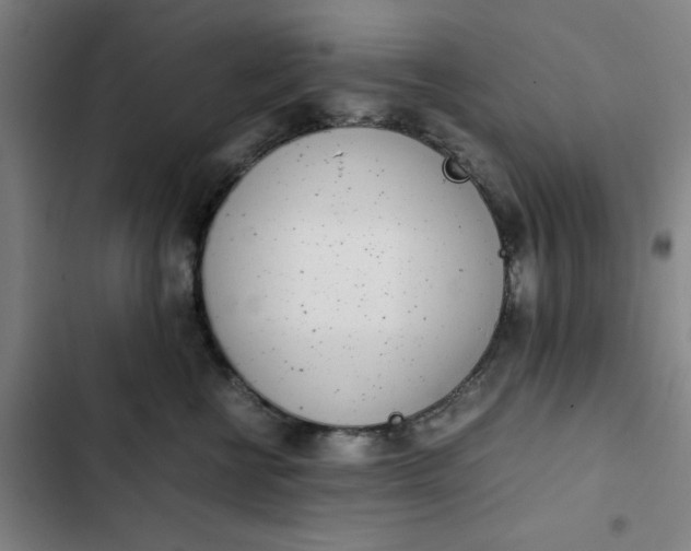 X0000102470570200808221646