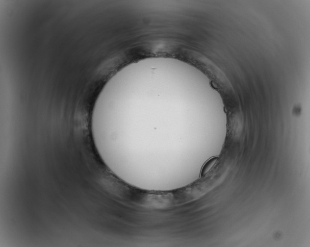X0000102470571200808221646