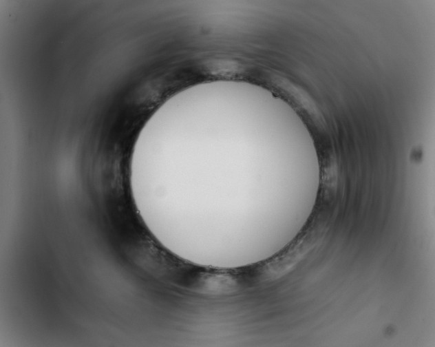 X0000102470572200808221646