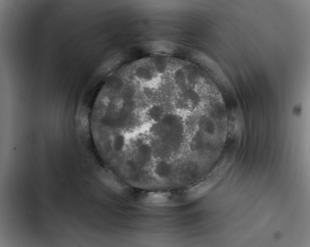 X0000102470573200808221646