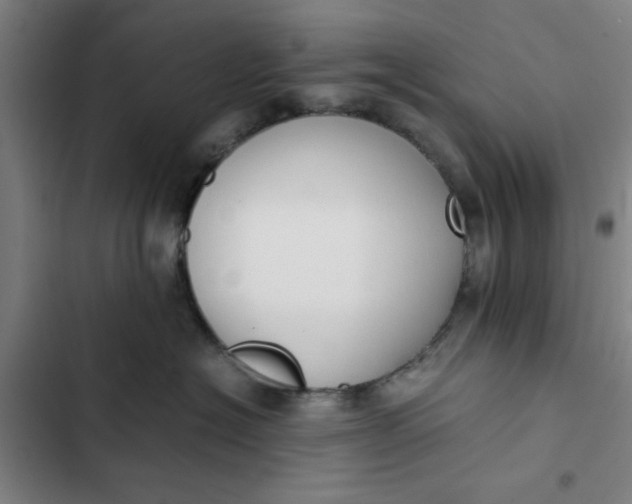 X0000102470574200808221646