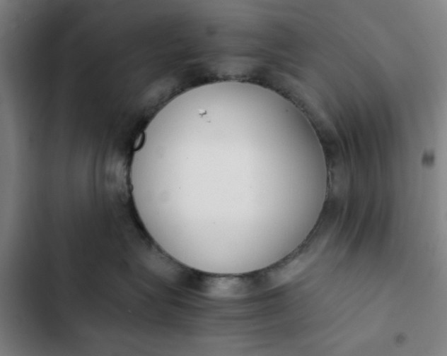 X0000102470575200808221646