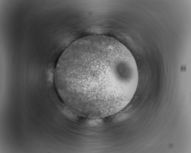 X0000102470576200808221646