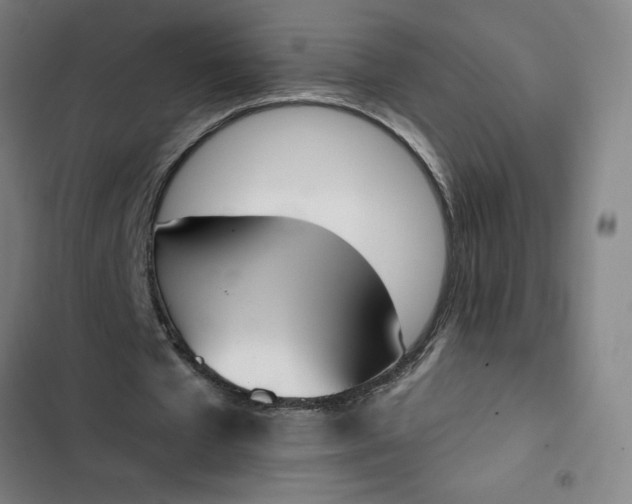 X0000102470577200808221645