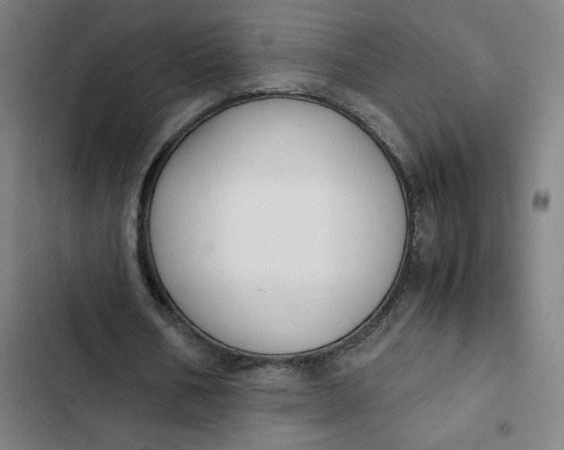 X0000102470578200808221645