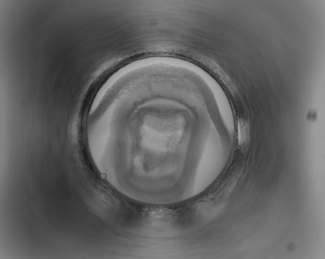 X0000102470579200808221645