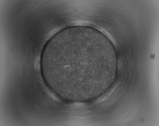 X0000102470581200808221645