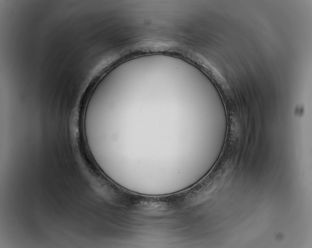 X0000102470582200808221645