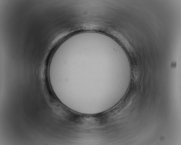 X0000102470583200808221645