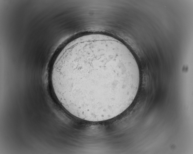 X0000102470584200808221645