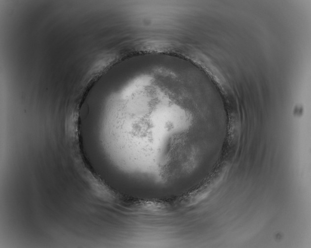 X0000102470585200808221645