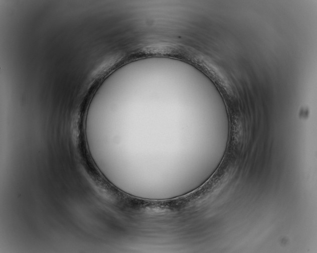 X0000102470586200808221645