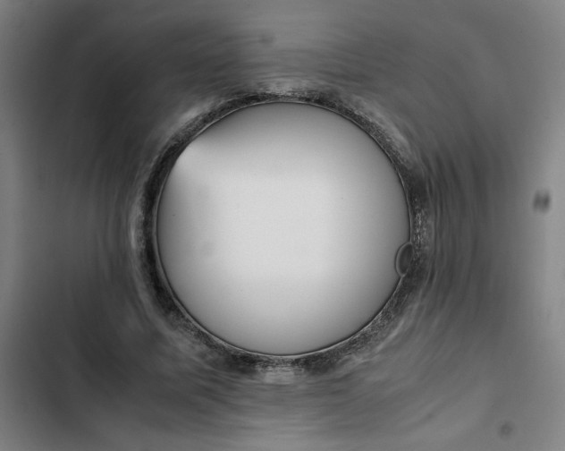 X0000102470587200808221644