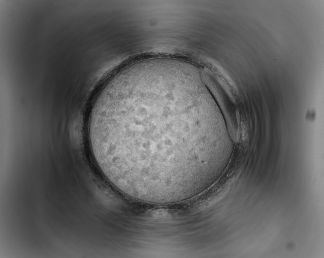 X0000102470588200808221644