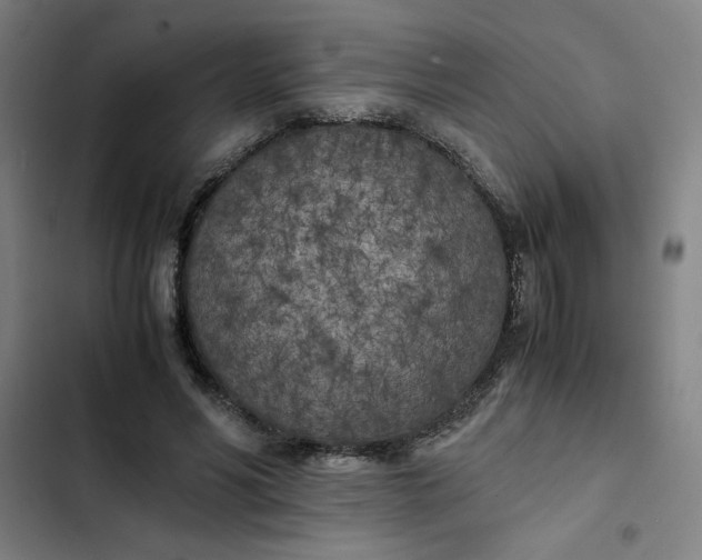 X0000102470590200808221644