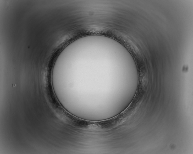 X0000102470591200808221644