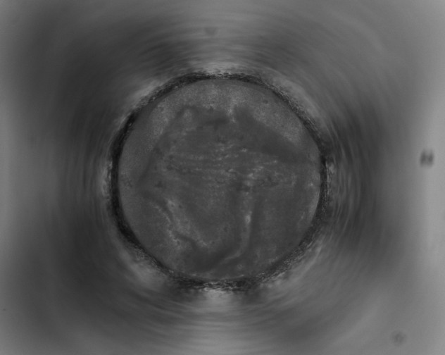X0000102470592200808221644