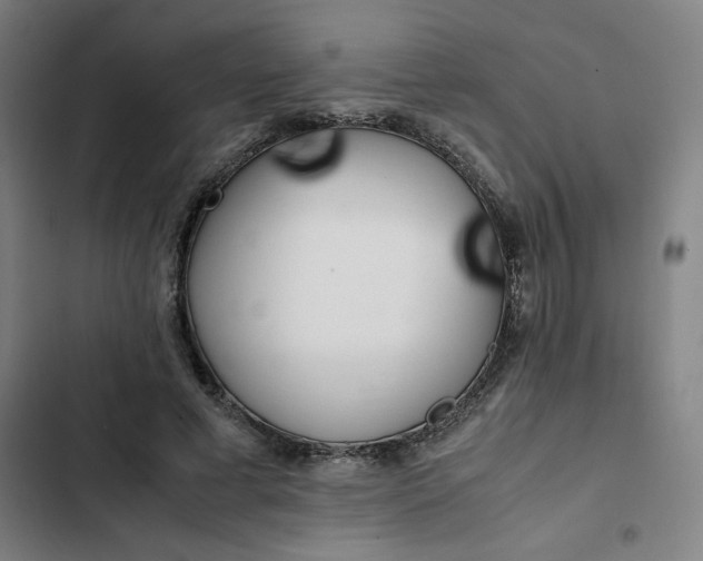 X0000102470593200808221644
