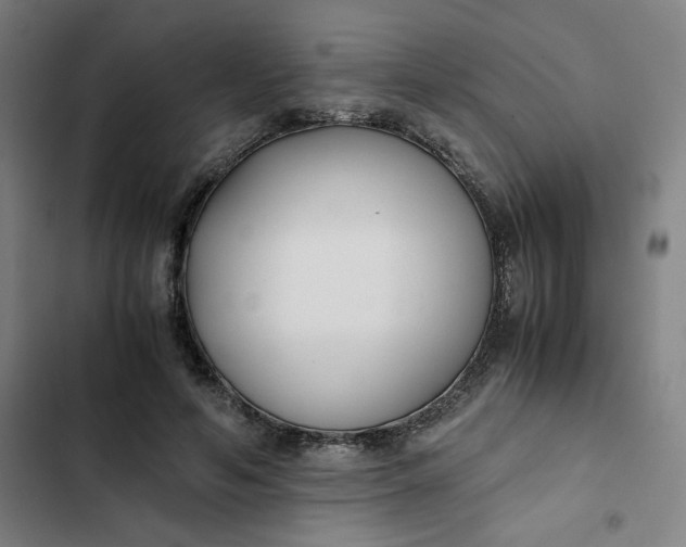 X0000102470594200808221644