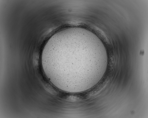 X0000102470596200808221644