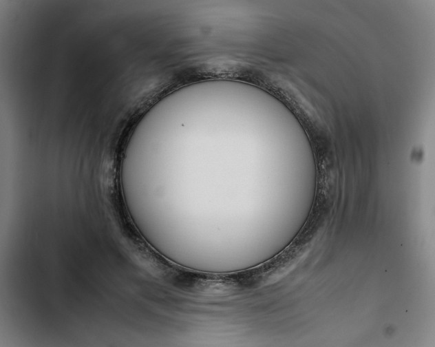 X0000102470597200808221644