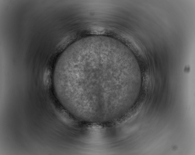 X0000102470598200808221644