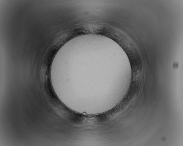 X0000102470599200808221644