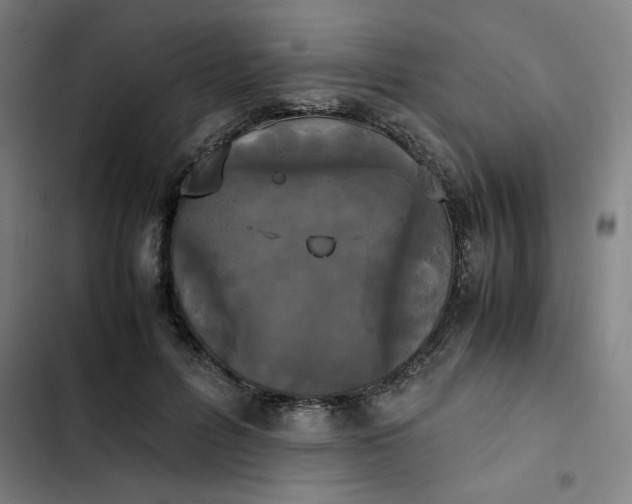 X0000102470600200808221644