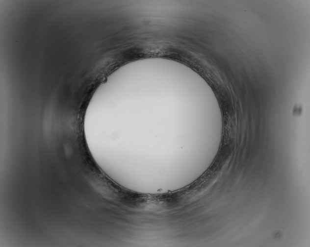 X0000102470601200808221644