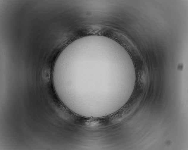 X0000102470602200808221644