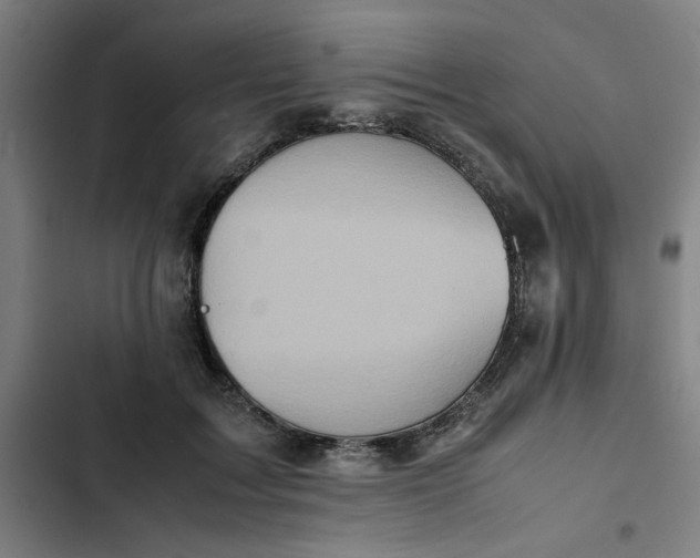 X0000102470603200808221644