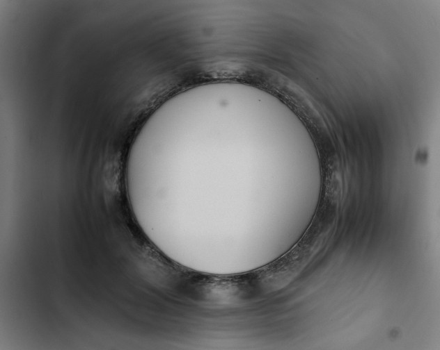 X0000102470604200808221644